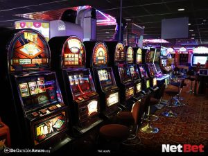 ll1998 - Plataforma Bet Login